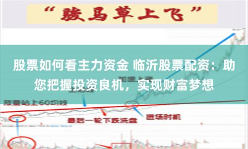 股票如何看主力资金 临沂股票配资：助您把握投资良机，实现财富梦想